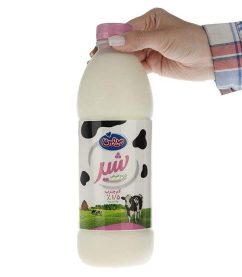 شیر1.jpg